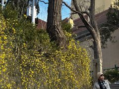 -青岛市江苏路基督教堂