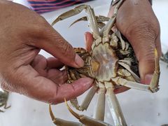 -无锡天鹏食品城