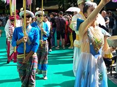 -西双版纳原始森林公园