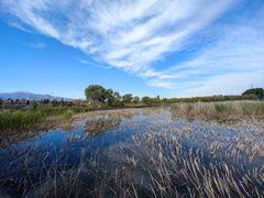 -野鸭湖国家湿地公园