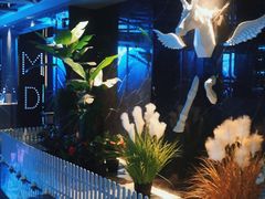 -MD KTV(居然之家店)