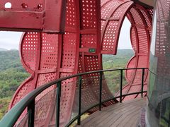 -贵州百里杜鹃风景名胜区