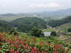 -乌石村