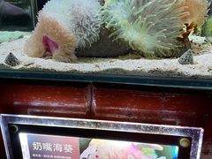 -太平洋海底世界