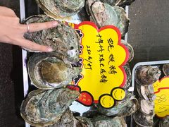 -蚝专家(北滘店)