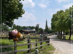 -田园东方蜜桃村的田野营地