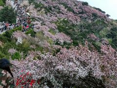 -泰山风景名胜区