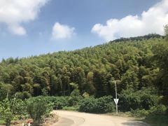 -天目湖御水温泉·度假酒店