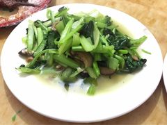 -新疆风味冷水鱼庄(友谊峰路店)