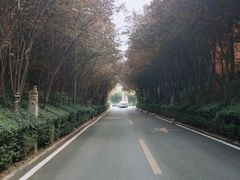 -石羊农庄
