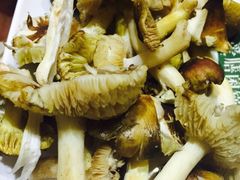 -爱膳菌锅锅(阳南店)