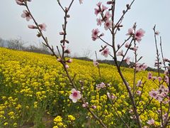 -西海岸生态观光园