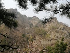 -北京鹫峰国家森林公园