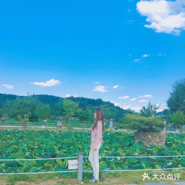 京畿道📍세미원 🚴‍♀️周末骑行