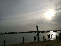 -东郊椰林