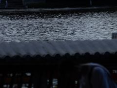 -荔湾湖公园