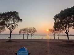 -漕湖湿地公园