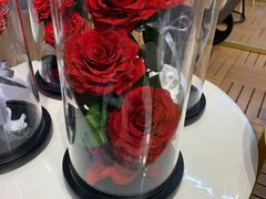 -荷兰花海