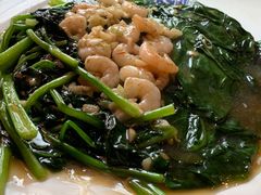 虾仁烧菠菜-老健康贾姨原味馆