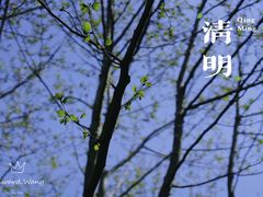 -上海吴淞炮台湾国家湿地公园