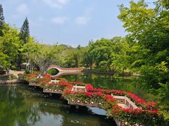 -深圳龙潭公园