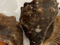 -宾朋海鲜特色美食餐厅·纯手工鲅鱼水饺(兴海路店)