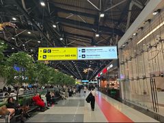 -谢列梅捷沃国际机场