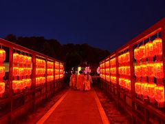 -隋唐洛阳城明堂天堂景区