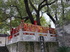 -大槐树寻根祭祖园