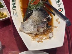 -沪碟·精菜坊(闵行店)