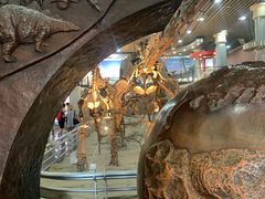 -国家自然博物馆