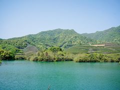 -龙坞茶村