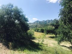-西拉沐沦大峡谷园区