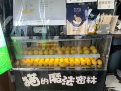 门面-猫的魔法密林(衣裳街店)