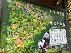 -海南热带野生动植物园