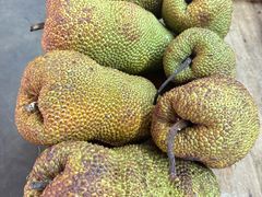 -ICC PUDU