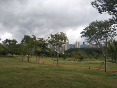 -牛岗山公园
