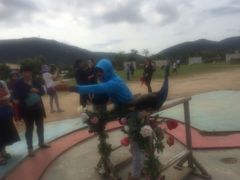 -亚龙湾国际玫瑰谷
