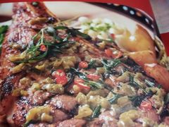 -Famous肥猫墨西哥音乐餐吧(五棵松华熙LIVE店)