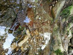 android_upload_pic-北京水岸山吧度假村(雁栖镇店)