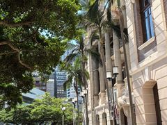 -香港大学