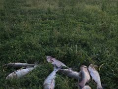 -长沙滨江文化园