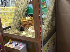 -大玩家(大连高新万达店)