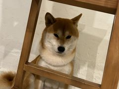 -三目仓咖啡(贤南路店)