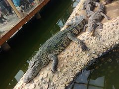 -石家庄市动物园