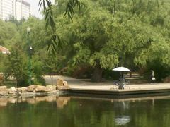 景点-沈阳南湖公园