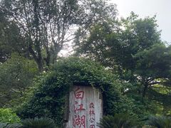 -广州白江湖森林公园