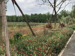 -白鹭湾湿地公园