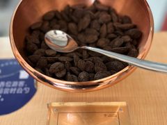 -歌斐颂巧克力小镇