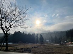 -武陵山森林公园